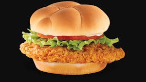 CHICKEN Sandwich Image