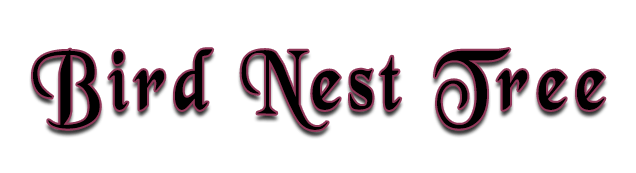 Bird Nest Tree logo