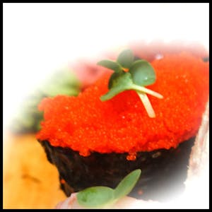 Masago Sushi (Smelt Roe) Image