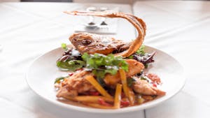 Mango Snapper Image