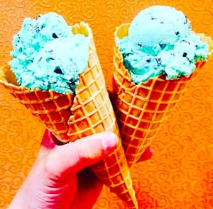 1 Scoop Image