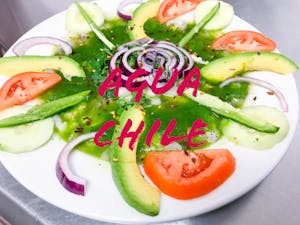 Agua Chile Image
