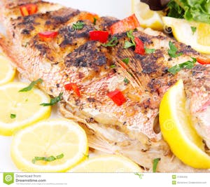 Red Snapper Fish / $22.99 Image