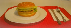 Turkey Burger Image