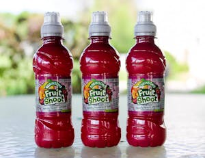 Kids Fruit Shoots Image