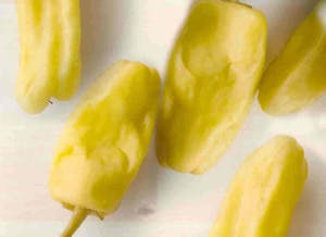Pepperoncini Pepper Image
