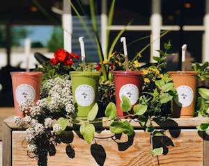 KELLY'S ROOTS - QUEENSBURY, NY 12804 (Menu & Order Online)