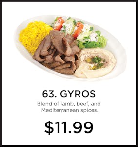 63. Gyros Image