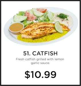 51. Catfish Image