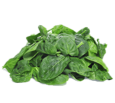 Green Aroma Image