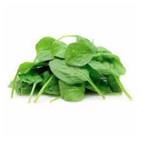 Garden Shake Image