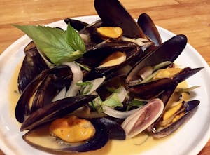 CS5. Mussels Image