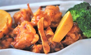 D19. Orange Chicken Image