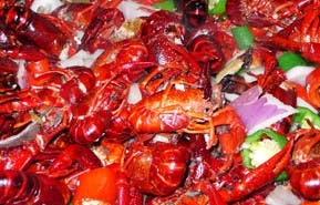 203. Stir‐Fried Crawfish with Spicy Flavors 香辣/麻辣小龙虾 Image
