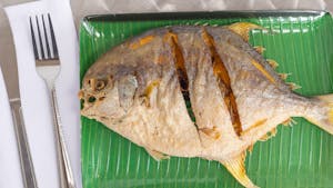 Pampano Fish Image