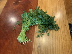 HERB CILANTRO Image
