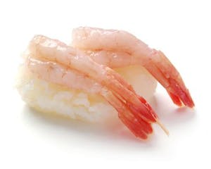 Amaebi Image