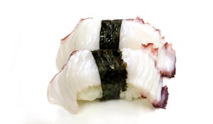 Octopus Image