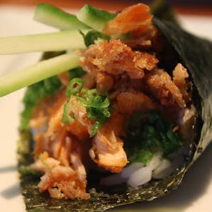 Salmon Skin H/R Image