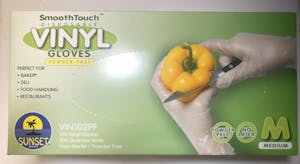 Disposable Gloves (100 Pieces) Image