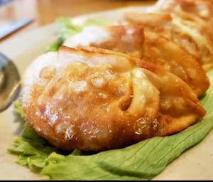 Chicken Dumplings (6) Image