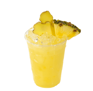 PINEAPPLE-GINGER SM Image