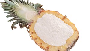 Pineapple Vegan Sorbet Image