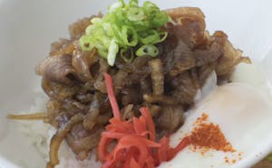 Gyudon Image