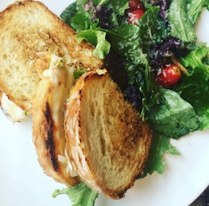 Turkey Panini Image