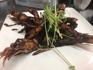 Argentinian Red Shrimp Image