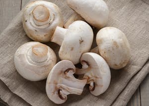 Mushrooms Image