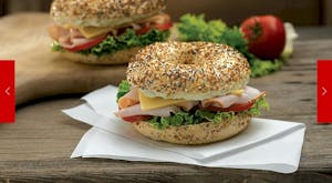 Turkey & Havarti (540-700 cal) Image