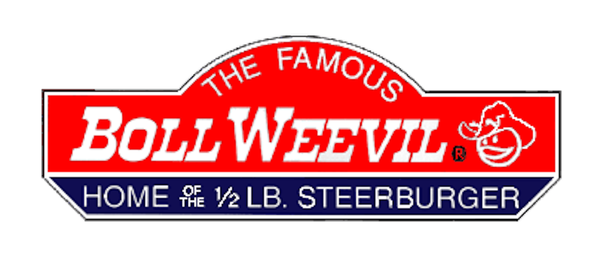 Boll Weevil