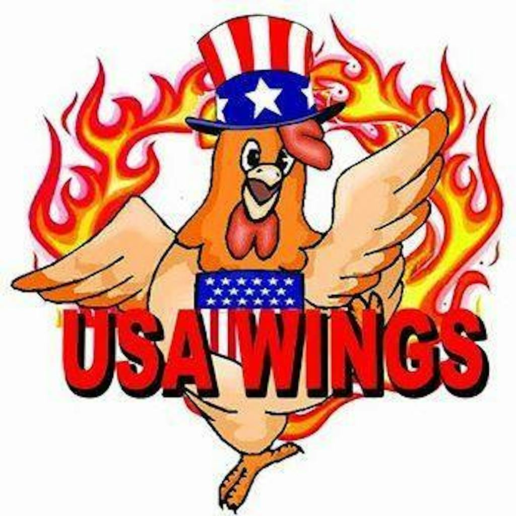 USA WINGS Logo