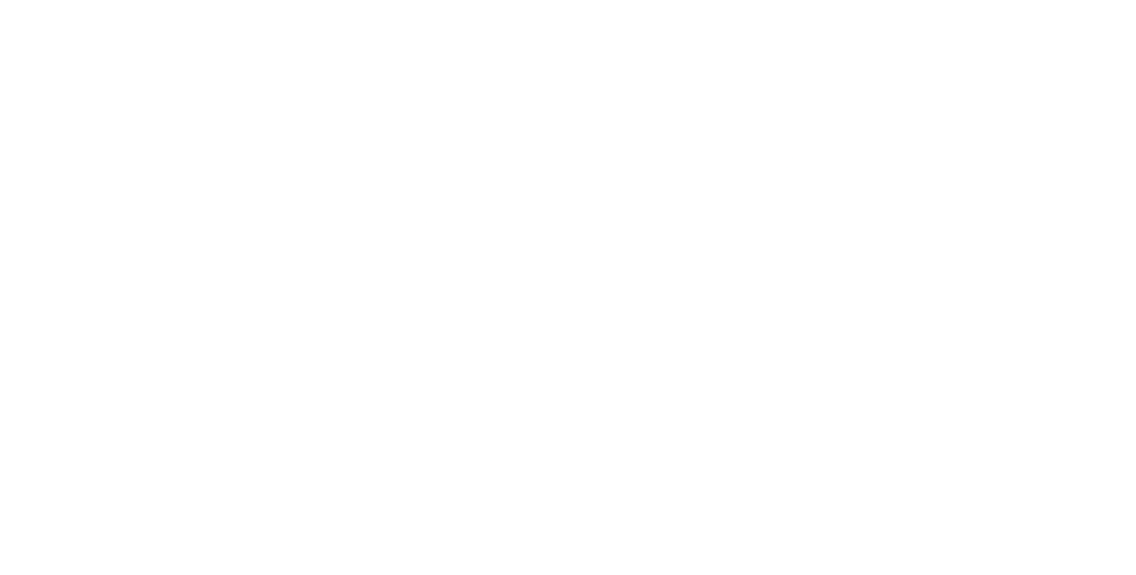 NOODLES  & KITCHEN Logo