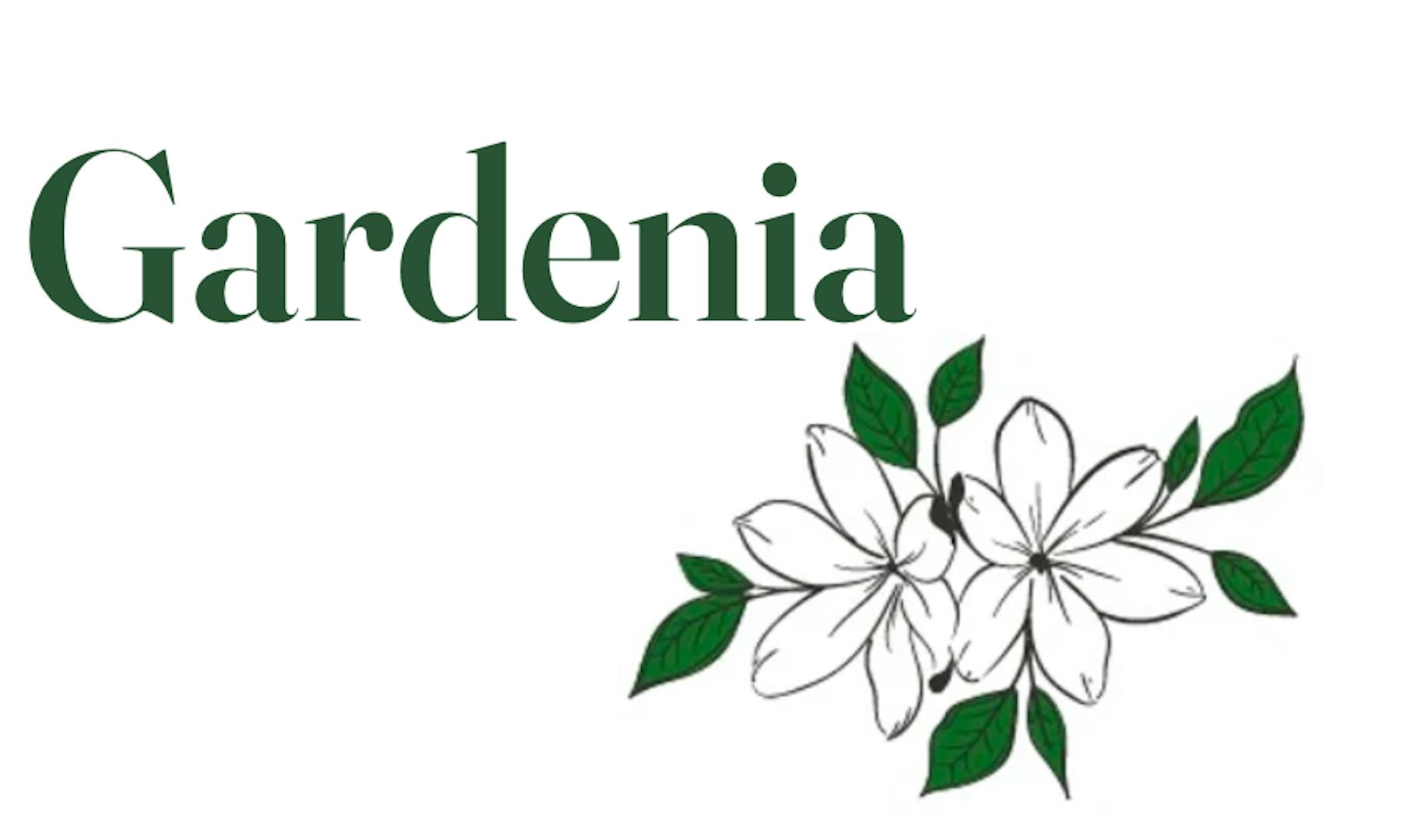 Gardenia Mediterranean Restaurant Cumming, GA 30040 (Menu & Order Online)
