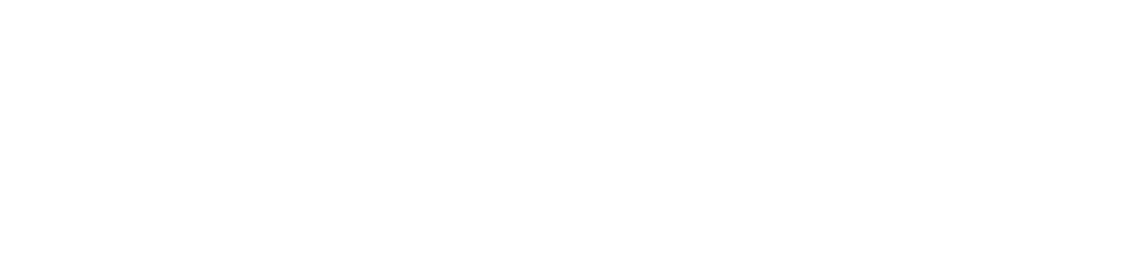 Sushi Village Logo