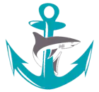 Anchor Icon