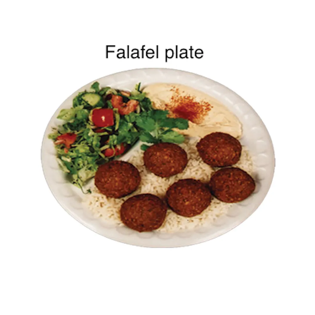 Falafel Plate