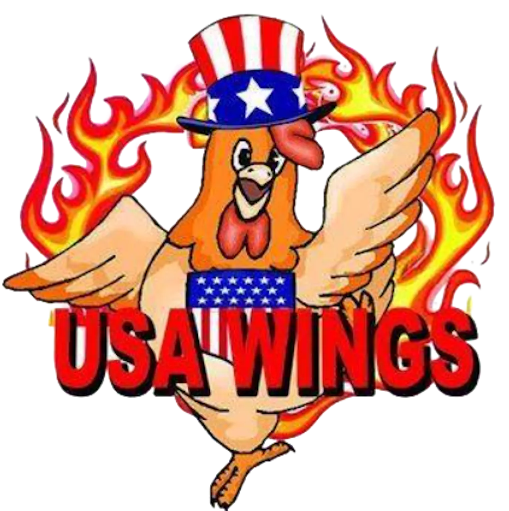 USA Wings Logo