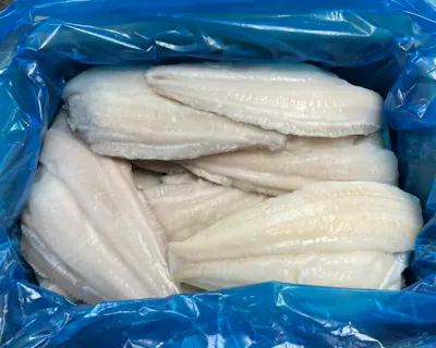 Flounder Filet