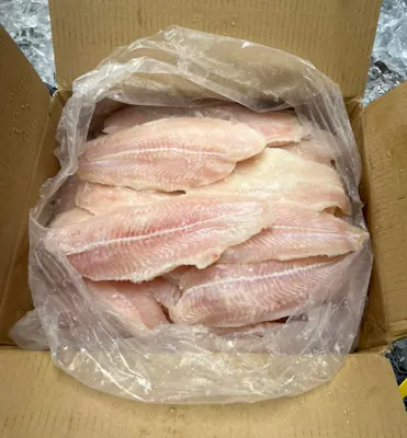 Catfish Filet