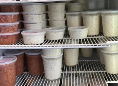 Lexington Style Slaw