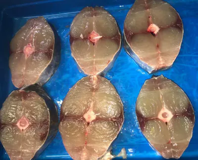 King Mackerel Steaks