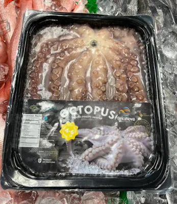 Octopus