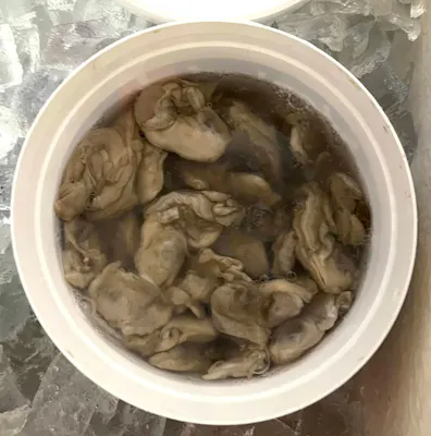 Oysters
