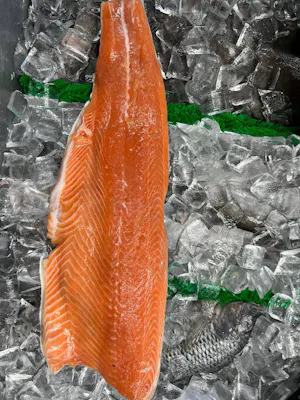 Salmon Filet