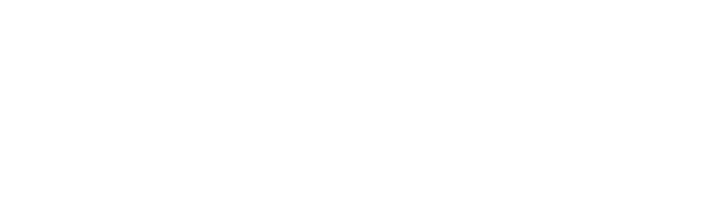 Dosa Delight Logo