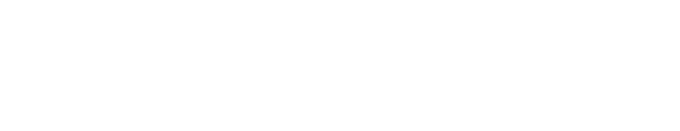 Roadrunner Restaurant Logo