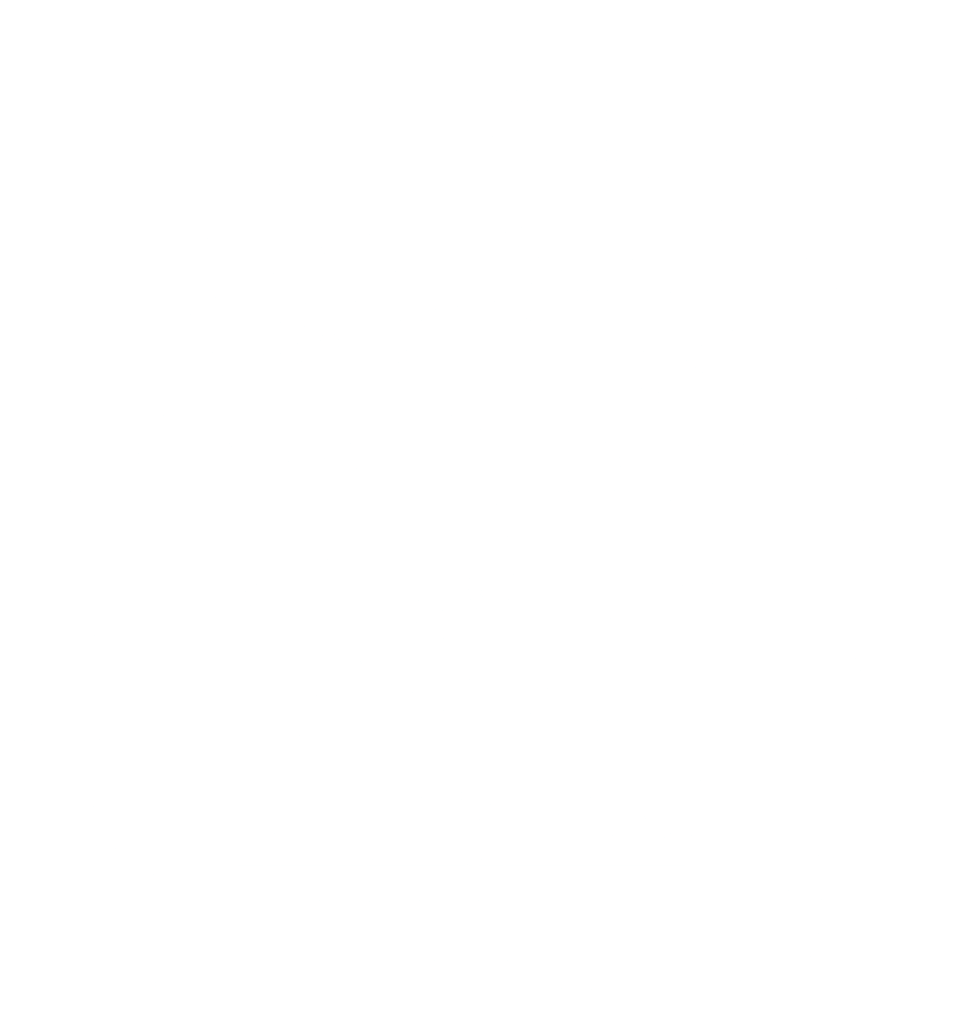 BACKSTEP BREWING CO Logo
